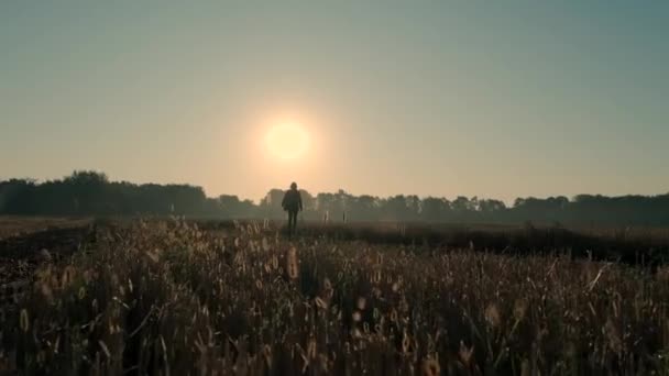 Homem Caminha Por Campo Queimado Nascer Pôr Sol Silhueta — Vídeo de Stock