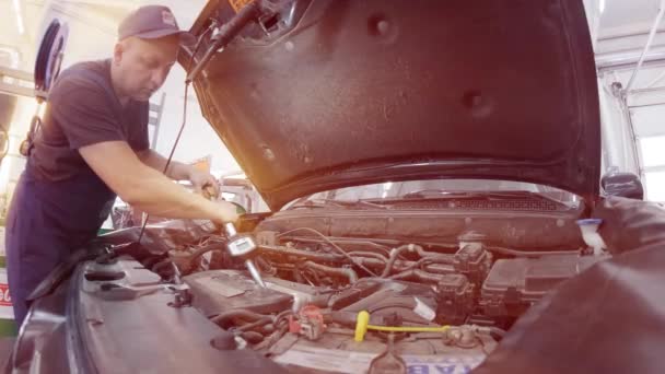 Auto Mecânico Substituindo Óleo Motor Sob Capô Reparação Automóvel — Vídeo de Stock