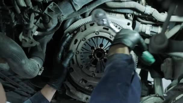 Change Repair Clutch Drive Axle Working Lifted Car — Stock Video