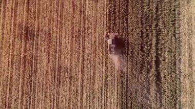 Sonbaharın başlarında mısır tarlasını hasat etmek. Katlanan Mısır Başlığı. Havadan üst görünüm