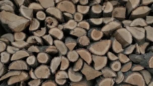 被砍倒和锯断的树干堆在一个大木桩上 一堆堆柴火为壁炉准备的木柴堆 柴火背景 — 图库视频影像