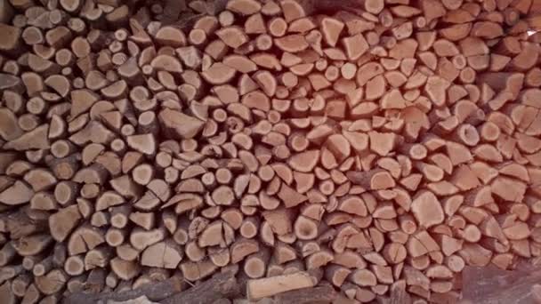 木の切断され 砂の幹は大きな丸太の山に積み上げられている 薪の山だ 暖炉のために準備薪の山 薪の背景 — ストック動画