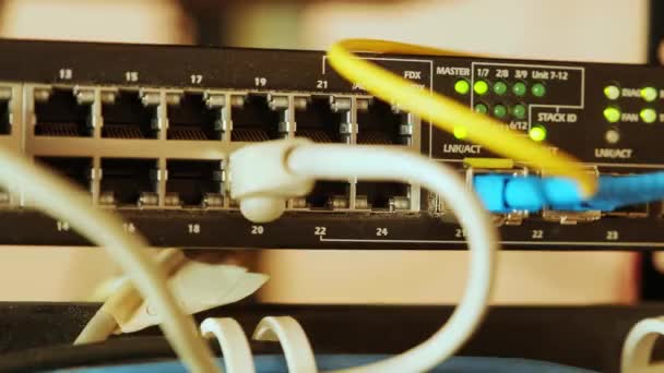 Nätverksbrytare Och Ethernet Kabel Rackskåp Nätverksanslutningsteknik Och Har Status Led — Stockvideo