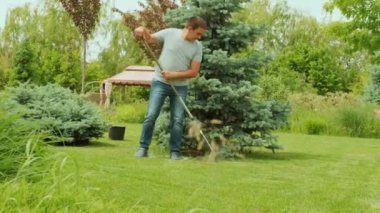 Tırmıklama işlemi. Bahçıvan mavi kozalak ağacı ve çam ağacını kestikten sonra ladin dallarını tırmıklıyor.. 