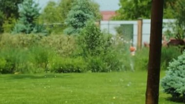Bahçeyi sulamaya yakın çekim, parkta çimenler ve çiçekler, güneş ışığında su damlaları. Çimenler ve çiçekler için otomatik sulama sistemi. Güneş ışığına bir damla su sıçrıyor.. 