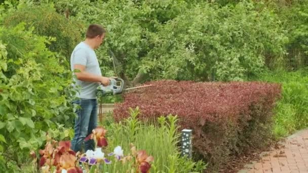 Tuinman Snoeien Heg Groen Park Met Elektrische Trimmer Voor Heg — Stockvideo