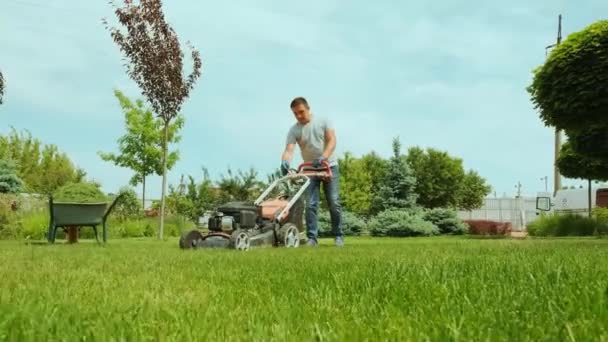 芝生を刈る芝刈り機 園芸活動 日当たりの良い庭でガソリン駆動の芝生の芝刈り機で草を切る 庭の芝刈り機で働く庭師 芝刈り機緑の草 — ストック動画