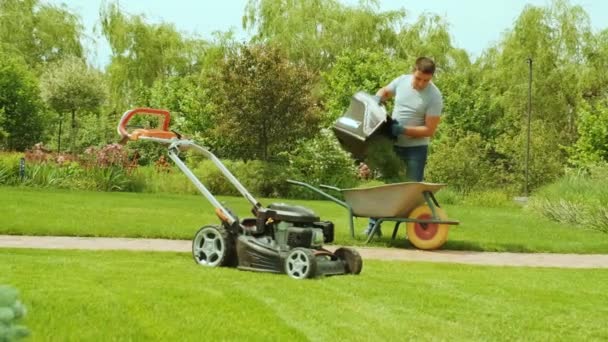园丁工人停下割草机引擎 把草坪割草机袋中的草卸入手推车 花园草坪修剪 — 图库视频影像