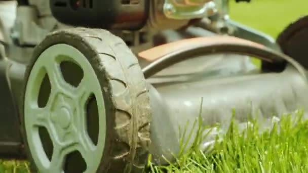 Sekačka Seká Trávu Zahradní Aktivita Sekání Trávy Benzínem Poháněnou Sekačkou — Stock video