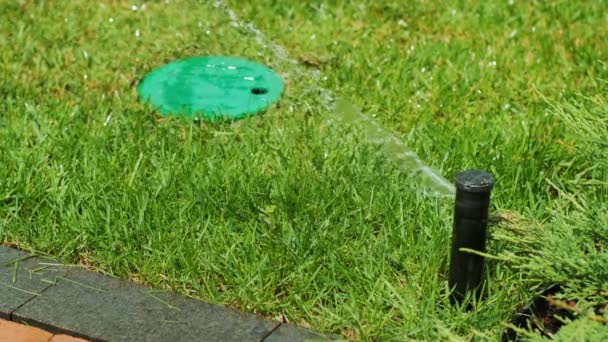 公園内の庭 花に水をまくのクローズアップは 太陽の光に水が落ちる 草や花のための自動散水システム 日光の下で水滴が飛び散っている — ストック動画