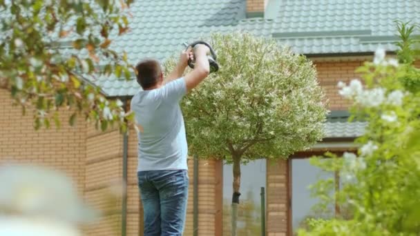 Bahçıvan Çit Için Elektrikli Budama Makinesiyle Yeşil Parkta Ağaç Buduyor — Stok video