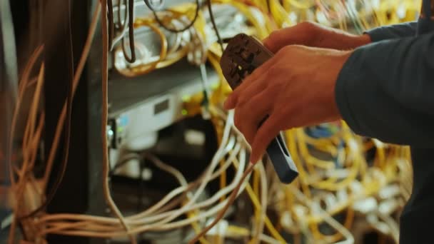 Csatlakoztatási Eljárás Utp Kábel Twisting Cable Tool Twisted Pair Ethernet — Stock videók