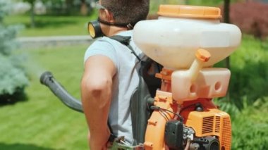 Ekolojik böcek ilacı sıkın. Çiftçi koruyucu maske, cam ağaçlar ve çalılarla dezenfekte ediyor. Zehirli böcek ilacı, böcek ilacı, böcek ilacı sıkan bir adam. Bahçıvanın bir bahçesi var.