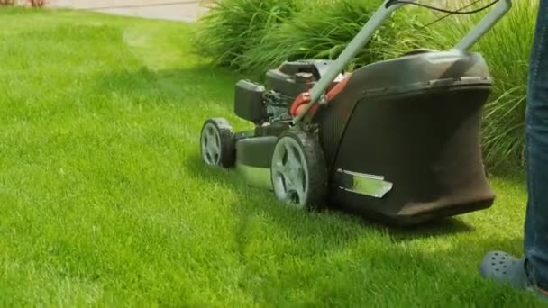 Rasenmäher Mähen Das Gras Gartenarbeit Rasenmähen Mit Dem Benzinbetriebenen Rasenmäher — Stockvideo