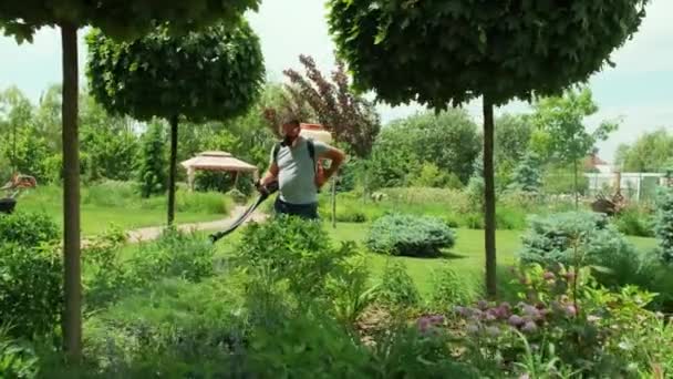 Pulverizar Pesticida Ecológico Agricultor Fumigar Máscara Protetora Copos Árvores Arbustos — Vídeo de Stock