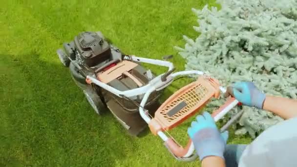 割草机割草 园艺活动 在阳光充足的花园里用汽油割草机割草 园丁在花园里用割草机干活 割草机切割绿草 — 图库视频影像