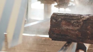 Ahşap üretim fabrikasındaki kesilen çam ağacı kütüğünün yakınına. Kereste fabrikasında kereste işleme ve kesme. Kereste fabrikasında üretim süreci. Elektrik makinesinde odun kesiyorum.