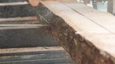 Ahşap üretim fabrikasındaki kesilen çam ağacı kütüğünün yakınına. Kereste fabrikasında kereste işleme ve kesme. Kereste fabrikasında üretim süreci. Elektrik makinesinde odun kesiyorum.