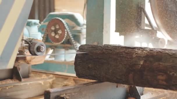 Closeup Corte Pinheiros Log Máquina Serrar Fábrica Produção Madeira Processamento — Vídeo de Stock