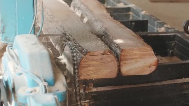 Närbild Huggen Furu Stock Sågmaskin Vid Trä Produktionsanläggning Träbearbetning Och — Stockvideo