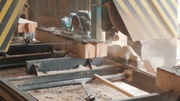 Zbliżenie Wyciętej Sosny Pilarce Fabryce Produkcji Drewna Obróbka Cięcie Drewna — Wideo stockowe