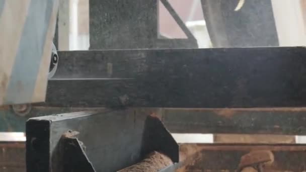 木の生産工場でミシンの切断松の木のログの閉鎖 製材所での木材加工と切断 製材所での製造プロセス パワーマシン上のソーイングの森 — ストック動画