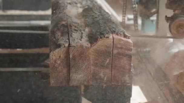 Gros plan de billes de pin coupées sur scieuse à l'usine de production de bois. Traitement et découpe du bois à la scierie. Procédé de fabrication à la scierie. Sciage de bois sur machine électrique