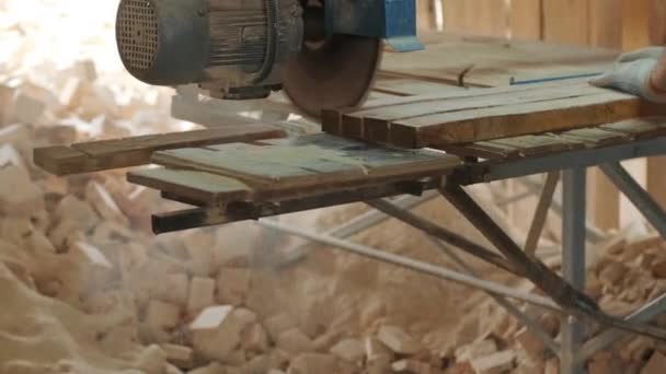 Closeup Corte Pinheiros Log Máquina Serrar Fábrica Produção Madeira Processamento — Vídeo de Stock