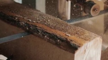 Ahşap üretim fabrikasındaki kesilen çam ağacı kütüğünün yakınına. Kereste fabrikasında kereste işleme ve kesme. Kereste fabrikasında üretim süreci. Elektrik makinesinde odun kesiyorum.