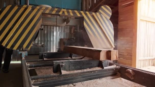 Gefällter Kiefernstamm Auf Sägemaschine Der Holzproduktion Fabrik Holzmaterialbearbeitung Und Zuschnitt — Stockvideo