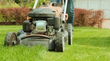 Çim biçme makinesi çimleri kesiyor. Bahçe işleri. Güneşli bahçede çim biçme makinesiyle çimleri biçmek. Bahçede çim biçme makinesiyle çalışan bahçıvan. Çim biçme makinesi yeşil çimleri kesiyor