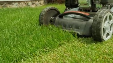 Çim biçme makinesi çimleri kesiyor. Bahçe işleri. Güneşli bahçede çim biçme makinesiyle çimleri biçmek. Bahçede çim biçme makinesiyle çalışan bahçıvan. Çim biçme makinesi yeşil çimleri kesiyor
