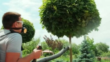 Ekolojik böcek ilacı sıkın. Çiftçi koruyucu maske, cam ağaçlar ve çalılarla dezenfekte ediyor. Zehirli böcek ilacı, böcek ilacı, böcek ilacı sıkan bir adam. Bahçıvanın bir bahçesi var.