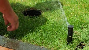 Bahçeyi sulamak için yakın çekim, parkta çimenler ve çiçekler, güneş ışığında su damlaları. Çimenler ve çiçekler için otomatik sulama sistemi. Güneş ışığına bir damla su sıçrıyor.. 