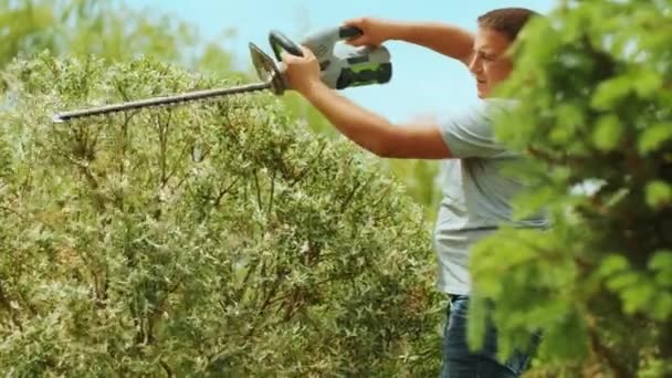 Tuinman Snoeien Boom Groen Park Met Elektrische Trimmer Voor Heg — Stockvideo