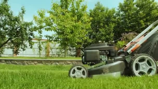 Cortador Relva Cortar Relva Actividade Jardinagem Corte Grama Com Cortador — Vídeo de Stock