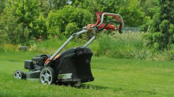 Vattnar Trädgården Gräs Och Blommor Parken Vattendroppar Solljuset Automatisk Bevattningssystem — Stockvideo