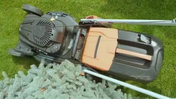 Χλοοκοπτική Μηχανή Κόβει Γρασίδι Κηπουρική Δραστηριότητα Κοπή Χόρτου Βενζινοκίνητη Χλοοκοπτική — Αρχείο Βίντεο