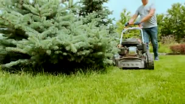 Een Grasmaaier Die Het Gras Maait Tuinieren Gras Maaien Met — Stockvideo