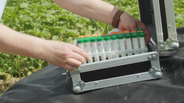 Laborarbeiterin Mit Professionellem Glas Und Testet Pflanzenkohl Vor Der Ernte — Stockvideo