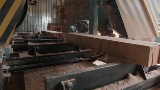 Pilarka Fabryce Drewna Obróbka Cięcie Drewna Tartaku Proces Produkcyjny Tartaku — Wideo stockowe