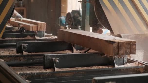木材生産工場でのソーイングマシン 製材所での木材加工と切断 製材所での製造プロセス パワーマシンで森をソーイング Cncマシン — ストック動画