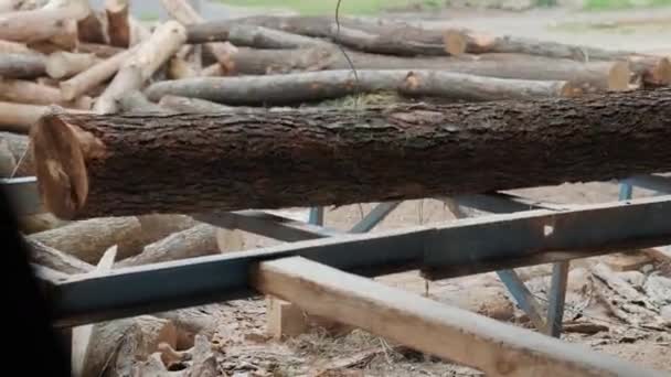 Verladen Von Baumstämmen Auf Einer Sägemaschine Sägemaschine Der Holzproduktion Fabrik — Stockvideo