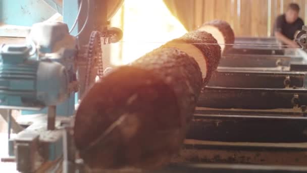 Sågning Maskin Vid Trä Produktionsanläggning Träbearbetning Och Sågning Vid Sågverk — Stockvideo
