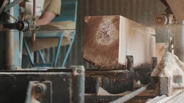 Sågning Maskin Vid Trä Produktionsanläggning Träbearbetning Och Sågning Vid Sågverk — Stockvideo