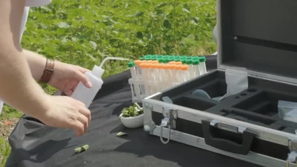 Trabajador Laboratorio Que Tiene Artículos Vidrio Profesionales Brotes Plantas Prueba — Vídeos de Stock