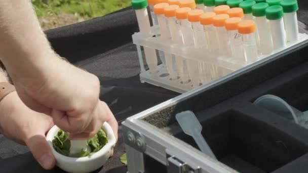 Trabajador Laboratorio Que Tiene Artículos Vidrio Profesionales Brotes Plantas Prueba — Vídeos de Stock