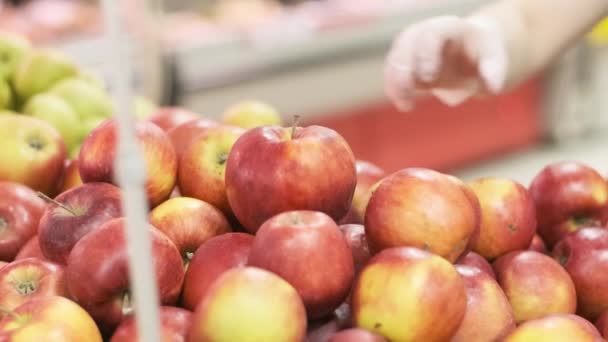 Femme Gants Caoutchouc Cueille Des Pommes Fraîches Les Met Dans — Video