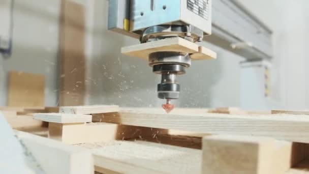 Tienda Carpintería Taladro Cnc Está Perforando Patrón Tablón Madera — Vídeo de stock