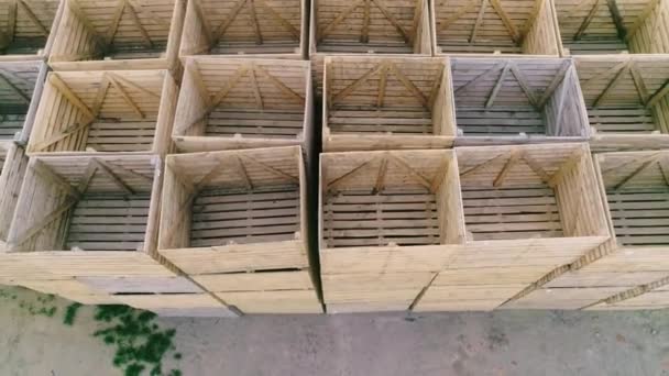 Folded Empty Wooden Boxes Warehouses Boxes Designed Harvesting Fruits Vegetables — Stock Video